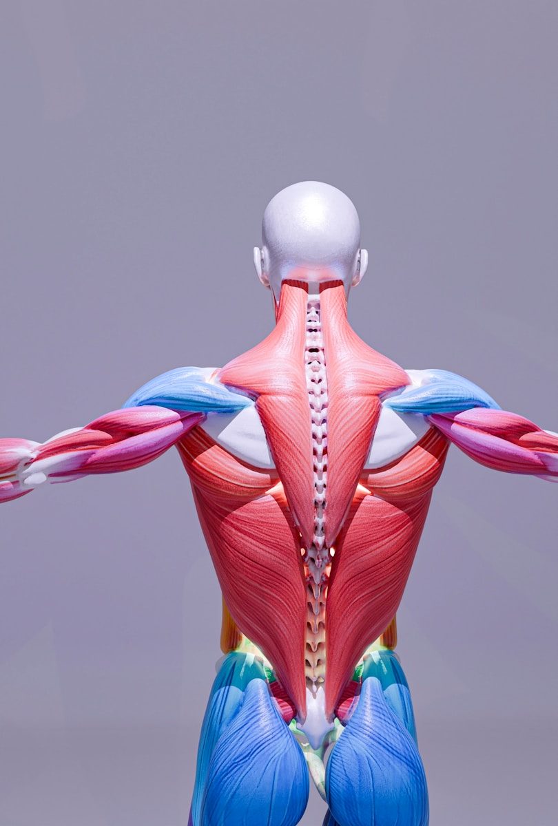 Spinal Cord Injury